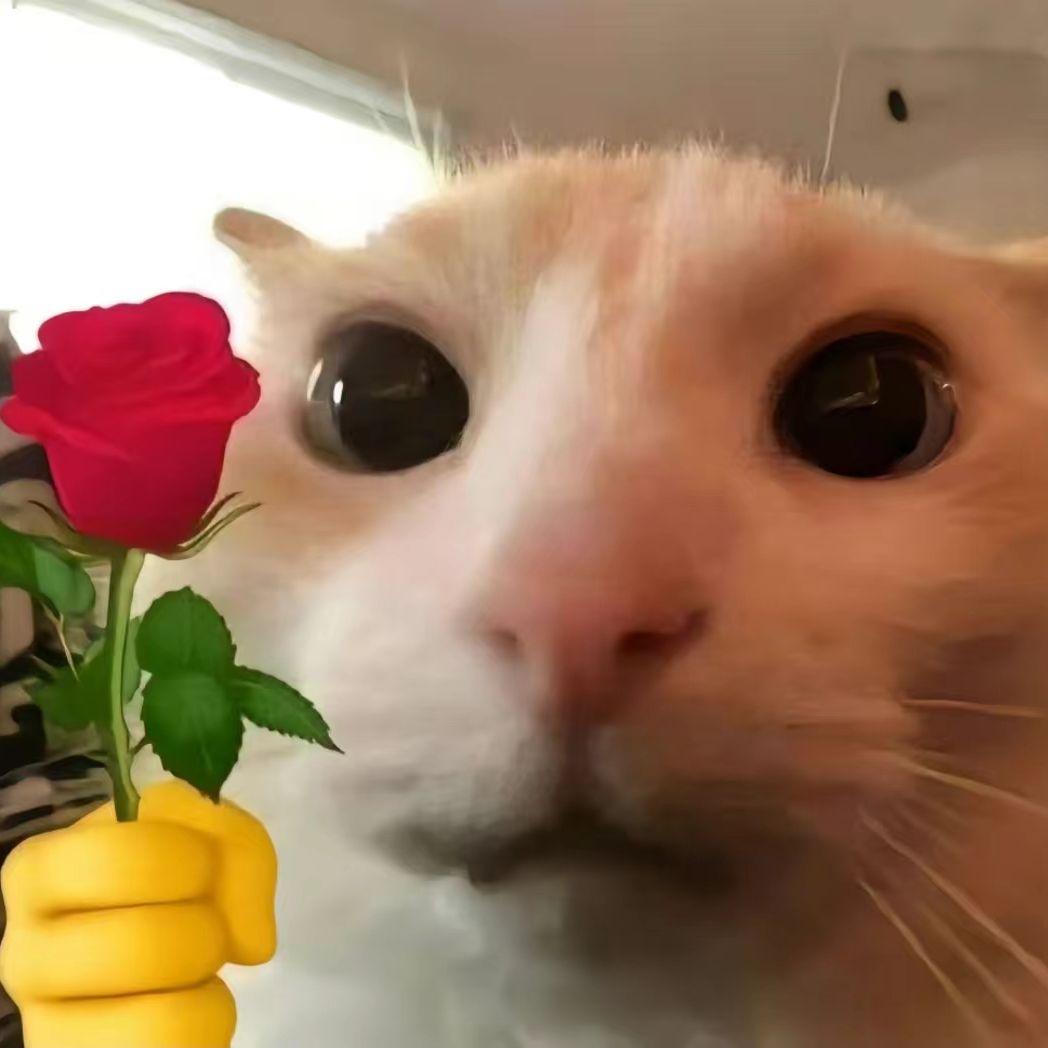 funkytown蛋仔派对版