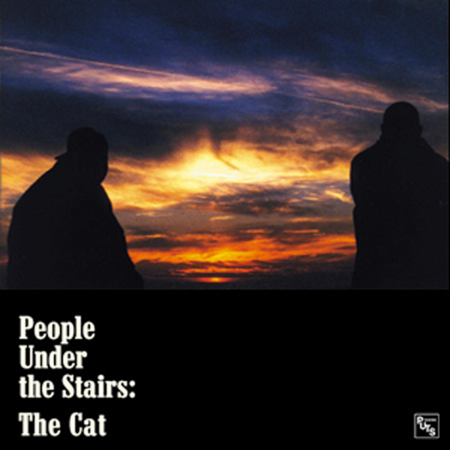 The Cat