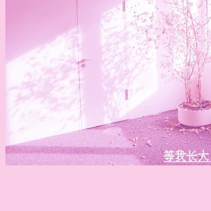 等我长大