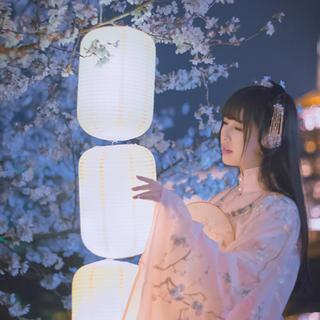 『清新古风』云阶月地，关锁千重