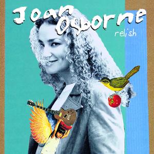 Crazy Baby - Joan Osborne (PT karaoke) 带和声伴奏 （升2半音）
