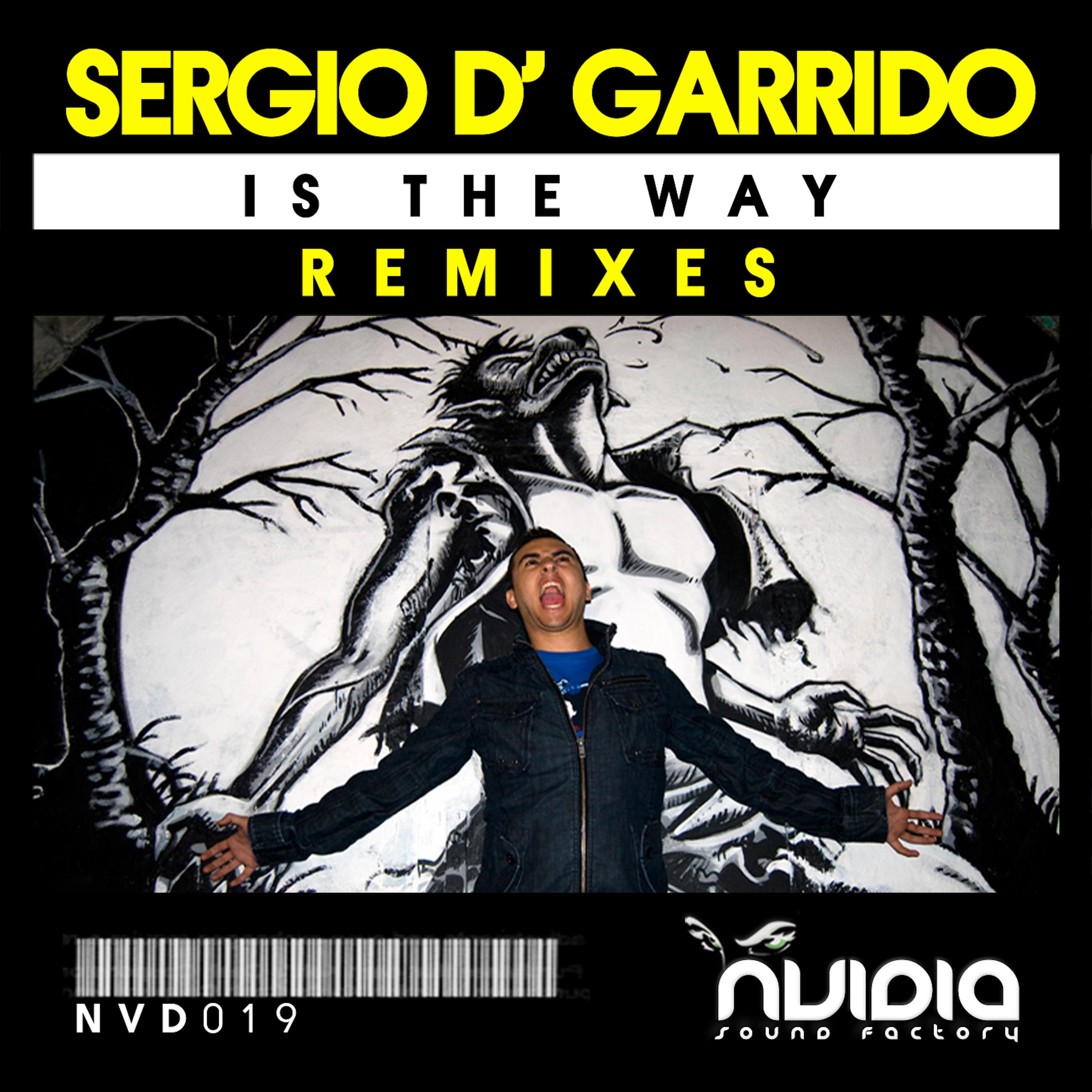 Is the Way Remixes