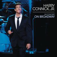 We Are In Love - Harry Connick Jr. (karaoke)