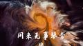 闲来无事琴旁坐专辑