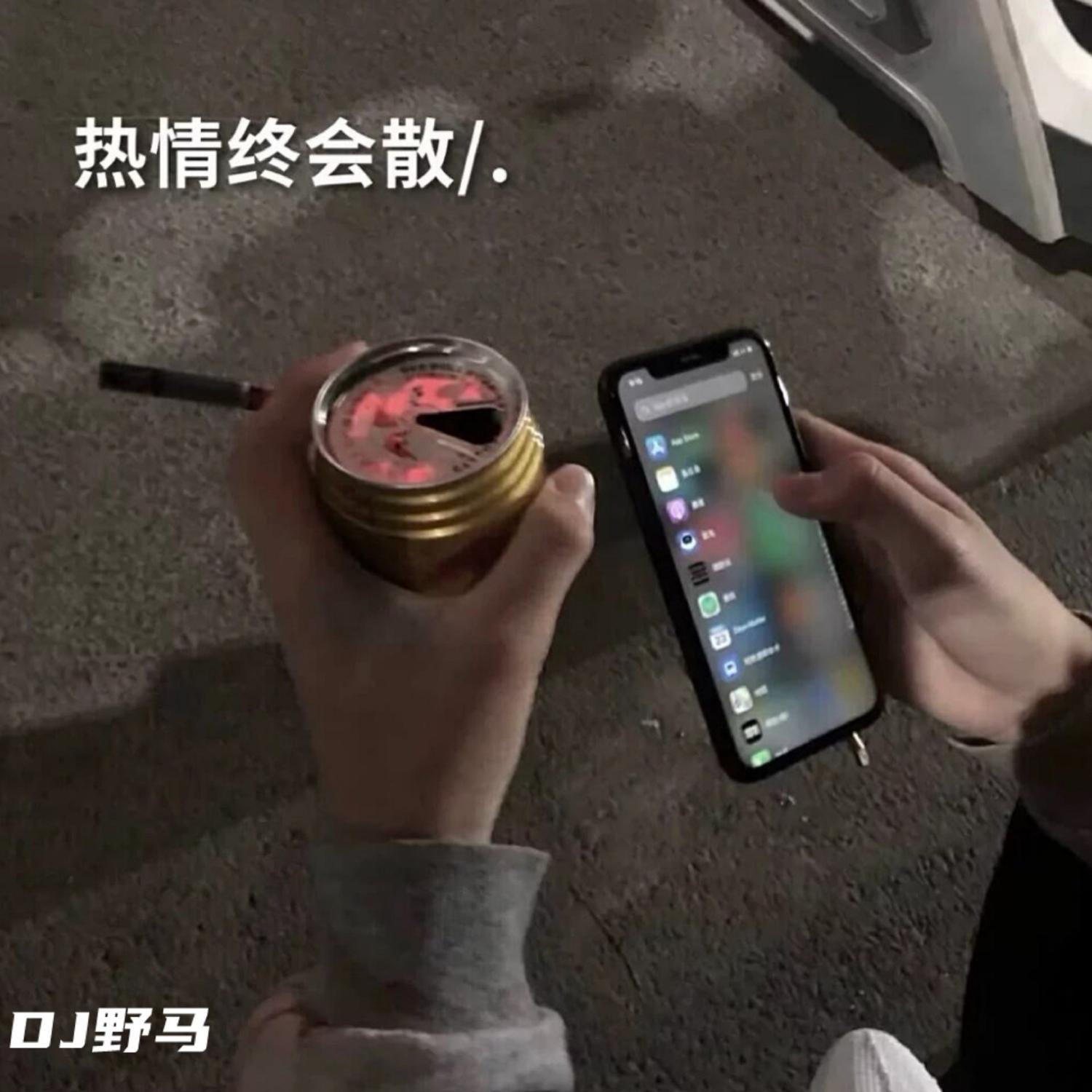 热情终会散 (咚鼓版)