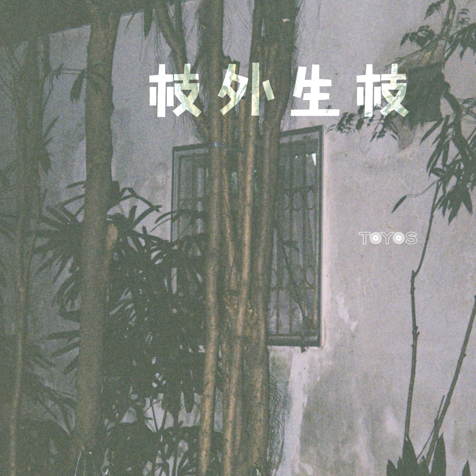 枝外生枝