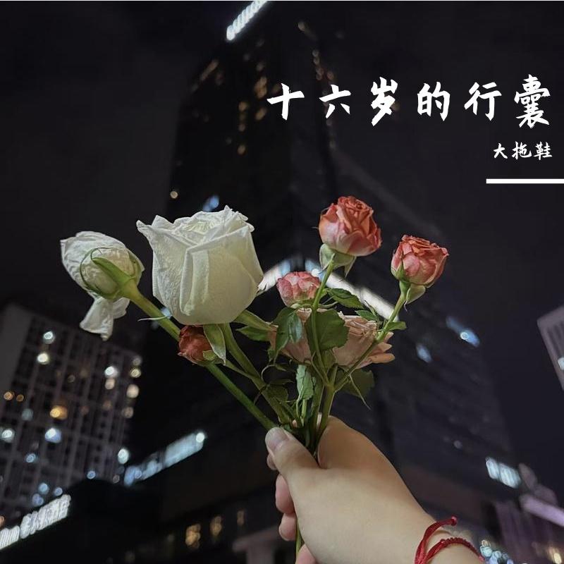 十六岁的行囊