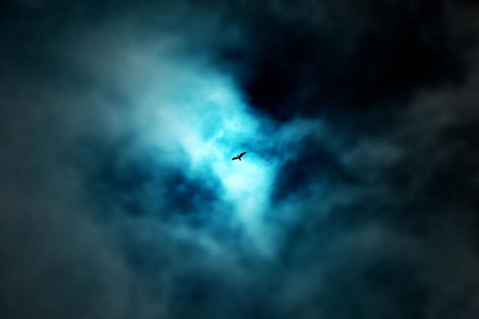 Eminem - without me（Danmy Remix）（Danmy remix）