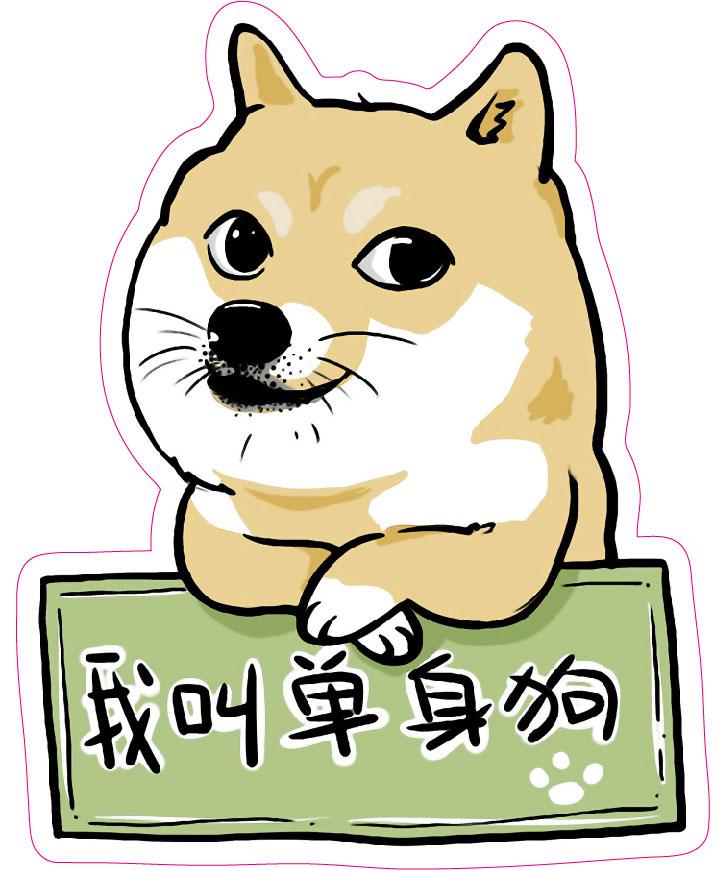 姐姐说（现场版）