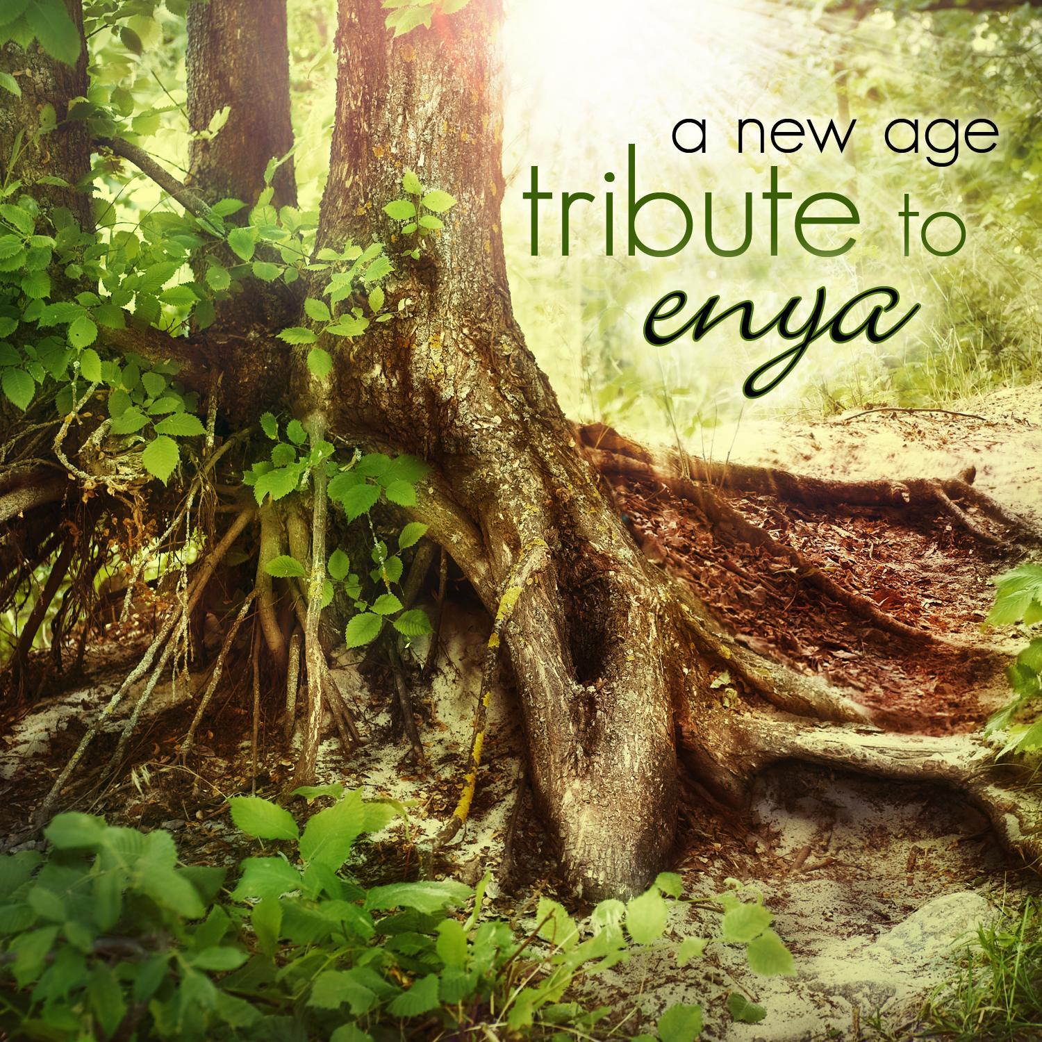 A New Age Tribute to Enya