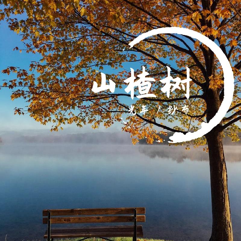 山楂树（纯人声）（翻自 周深/王晰/刘彬濠）