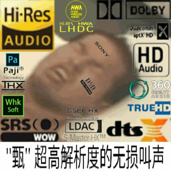 ''甄''Hi-Res高解析度的hires叫声/随缘更新