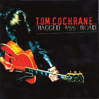 I Wish You Well - Tom Cochrane Red Rider (karaoke)
