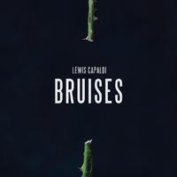 Bruises - Lewis Capaldi (S Karaoke) 带和声伴奏