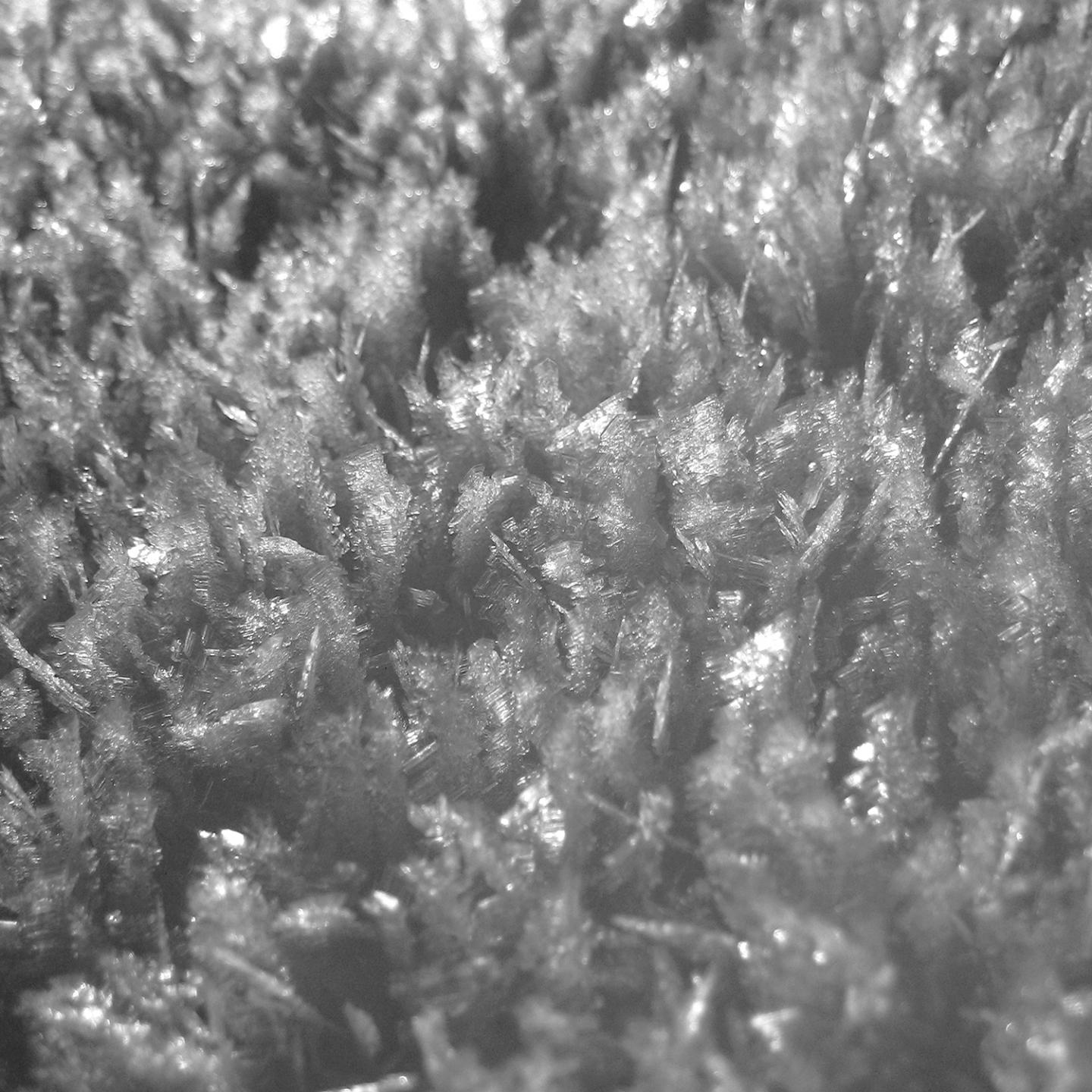 Schnee (IV)