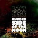 Dubber Side of the Moon专辑