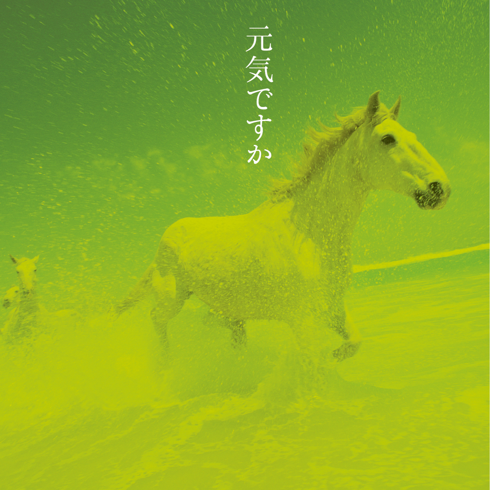 空と君のあいだに