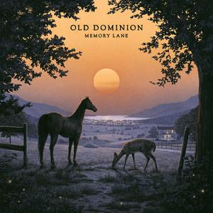 Old Dominion - Some Horses （升6半音）