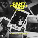 Can't Forget You (Club Mix)专辑