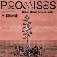 Promises - Calvin Harris, Sam Smith (HT Instrumental) 无和声伴奏