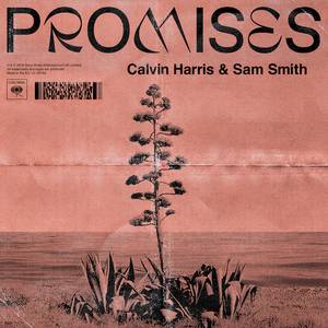 Promises - Calvin Harris & Sam Smith (钢琴伴奏)