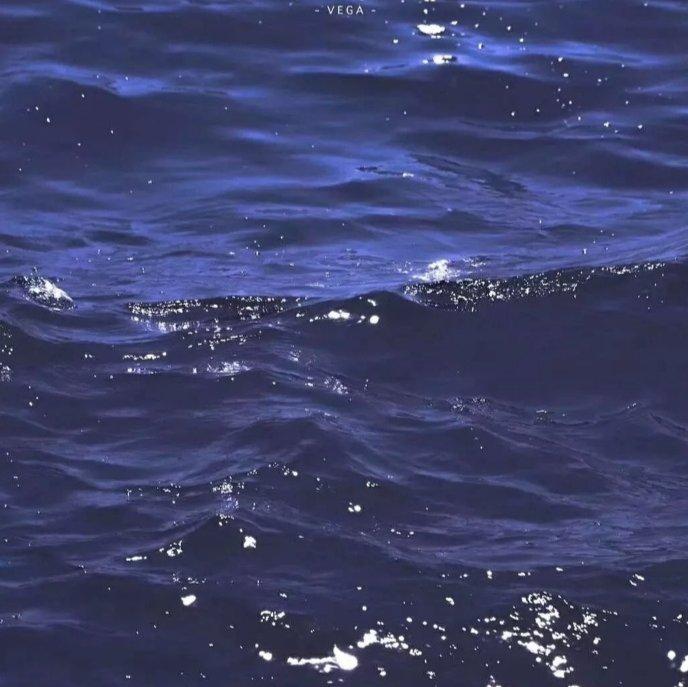 喜欢海就要跳海吗？
