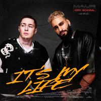 It's My Life (Siva Remix)