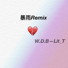 W.D.B（暴雨remix）