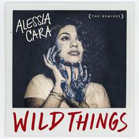 Wild Things Alessia Cara 伴奏 原版立体声伴奏