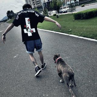 抖音100首最火音乐