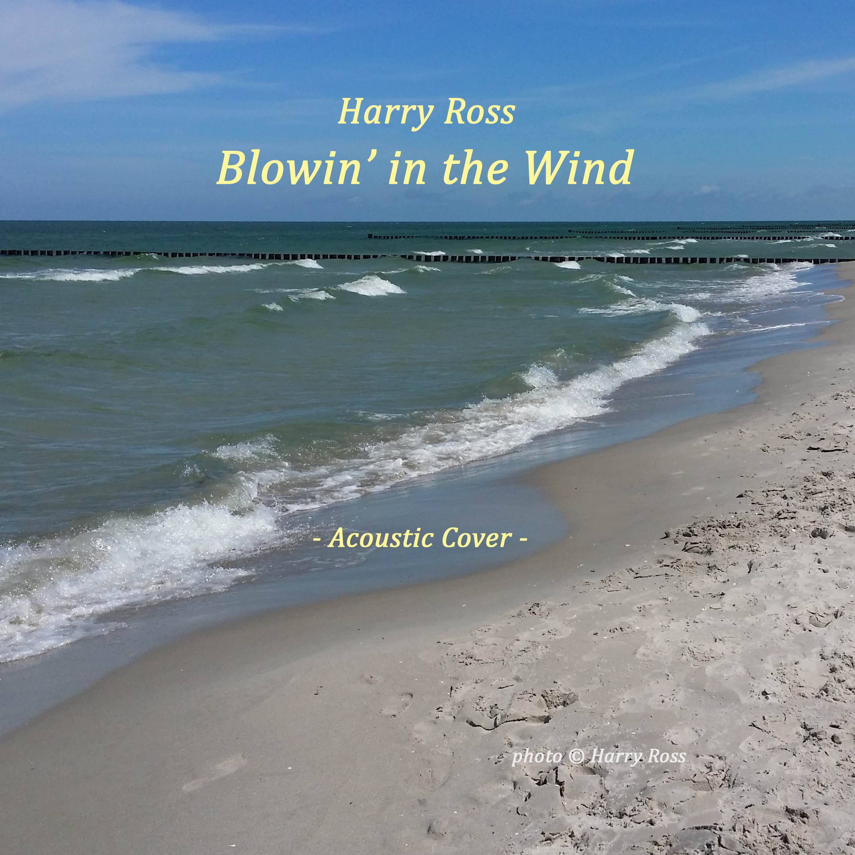 Blowin' in the Wind (Acoustic Cover)