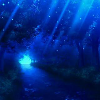 ［纯粹听觉系］幽深宁静，梦中邂逅