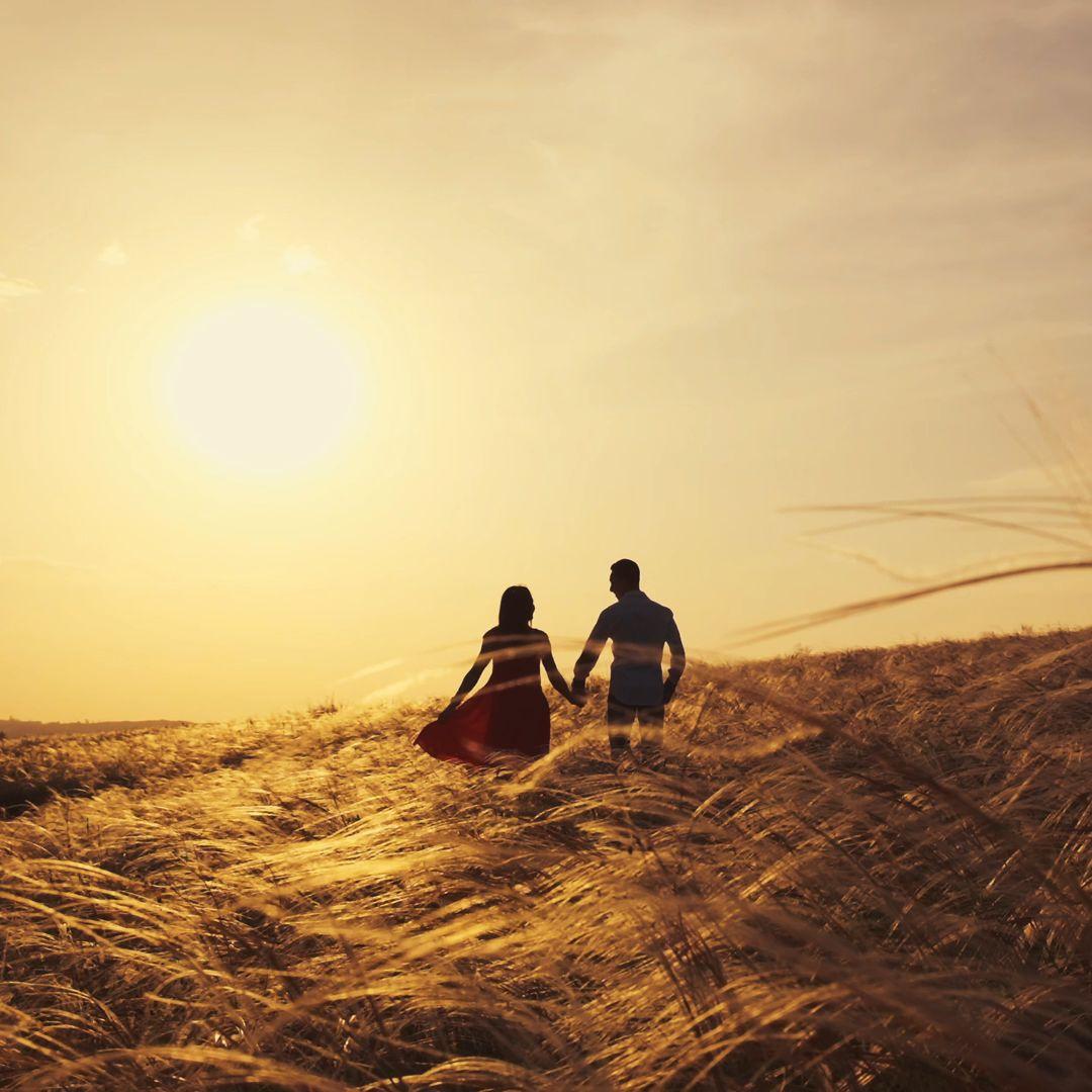 Tallidim（选择）