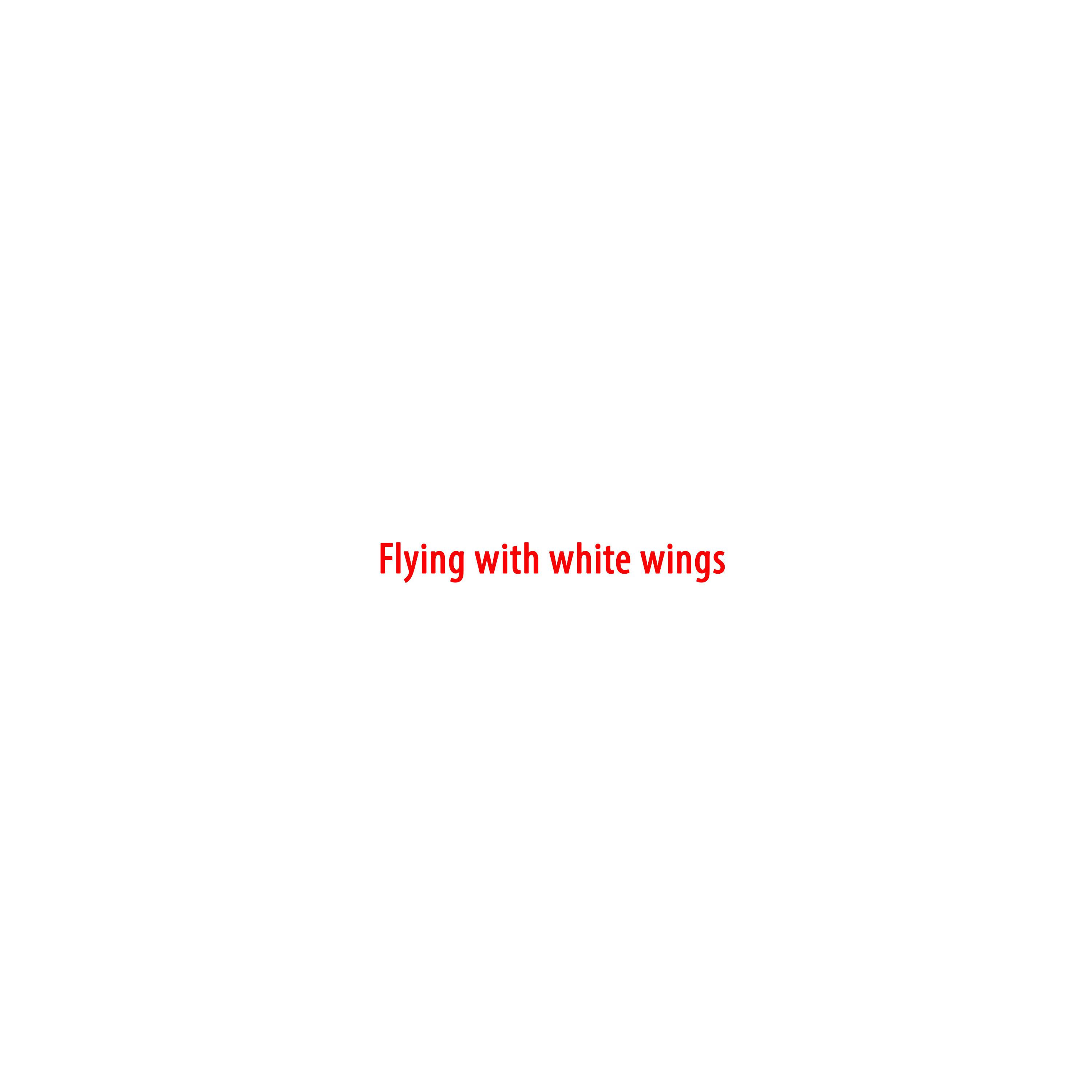 Flying with White Wings专辑