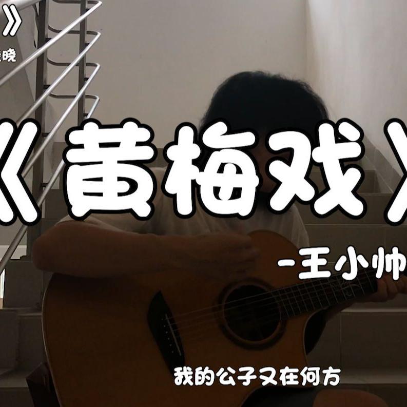 黄梅戏-王小帅