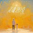 灵魂20克