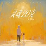 灵魂20克专辑