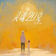 灵魂20克