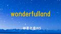 Wonderful Land专辑