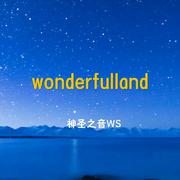 Wonderful Land