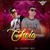 DJ Cleber Mix - Cheia De Charme