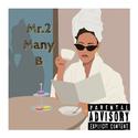 Mr. 2 Many B