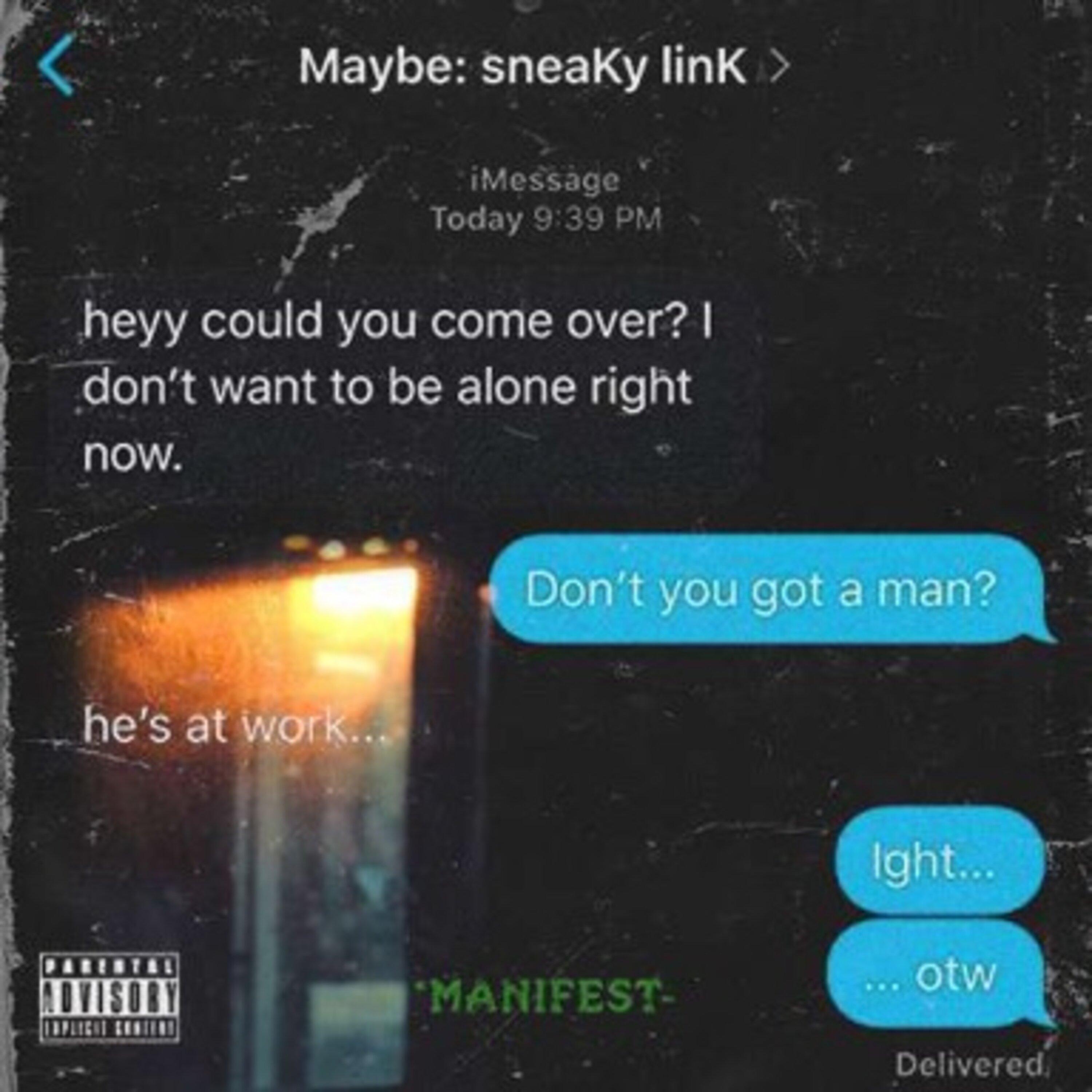 Sneaky Link
