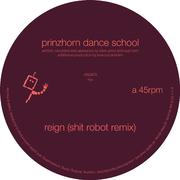 Reign (Shit Robot Remix)