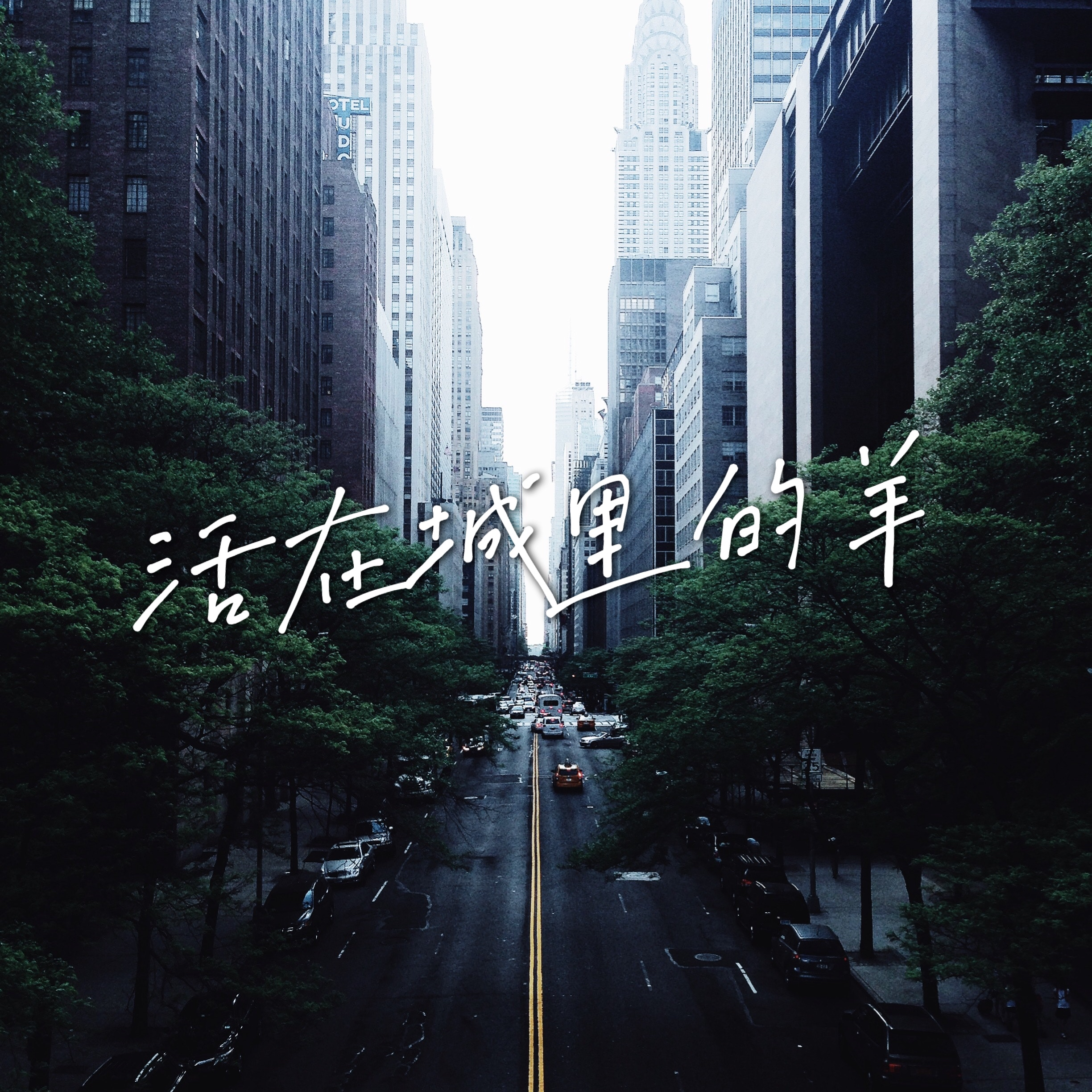 活在城里的羊