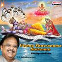 Vishnu Shasranama Stotramu - Bhajgovindham专辑