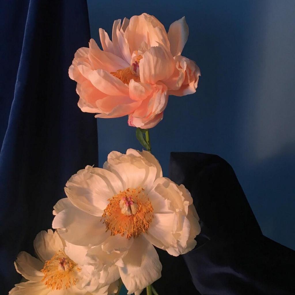 花 店 老 板 私 藏
