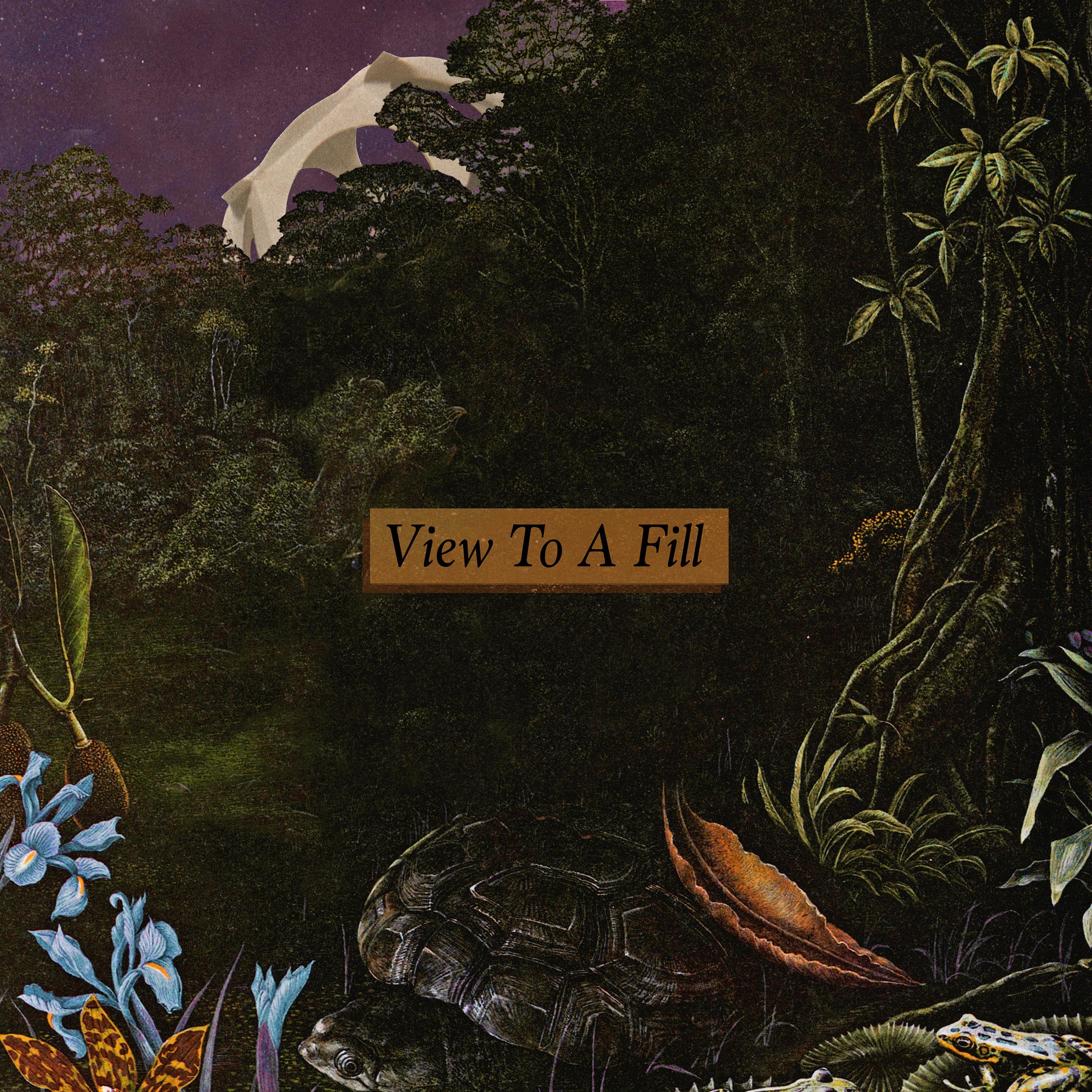 View to a Fill