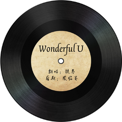 Wonderful U