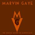 The Soulful Moods of Marvin Gaye